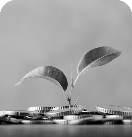 Coins and plant